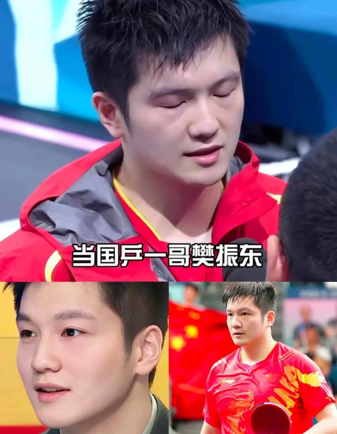 开云体育中国-波兰乒乓球队力克日本乒乓球队，樊振东完成帽子戏法的简单介绍