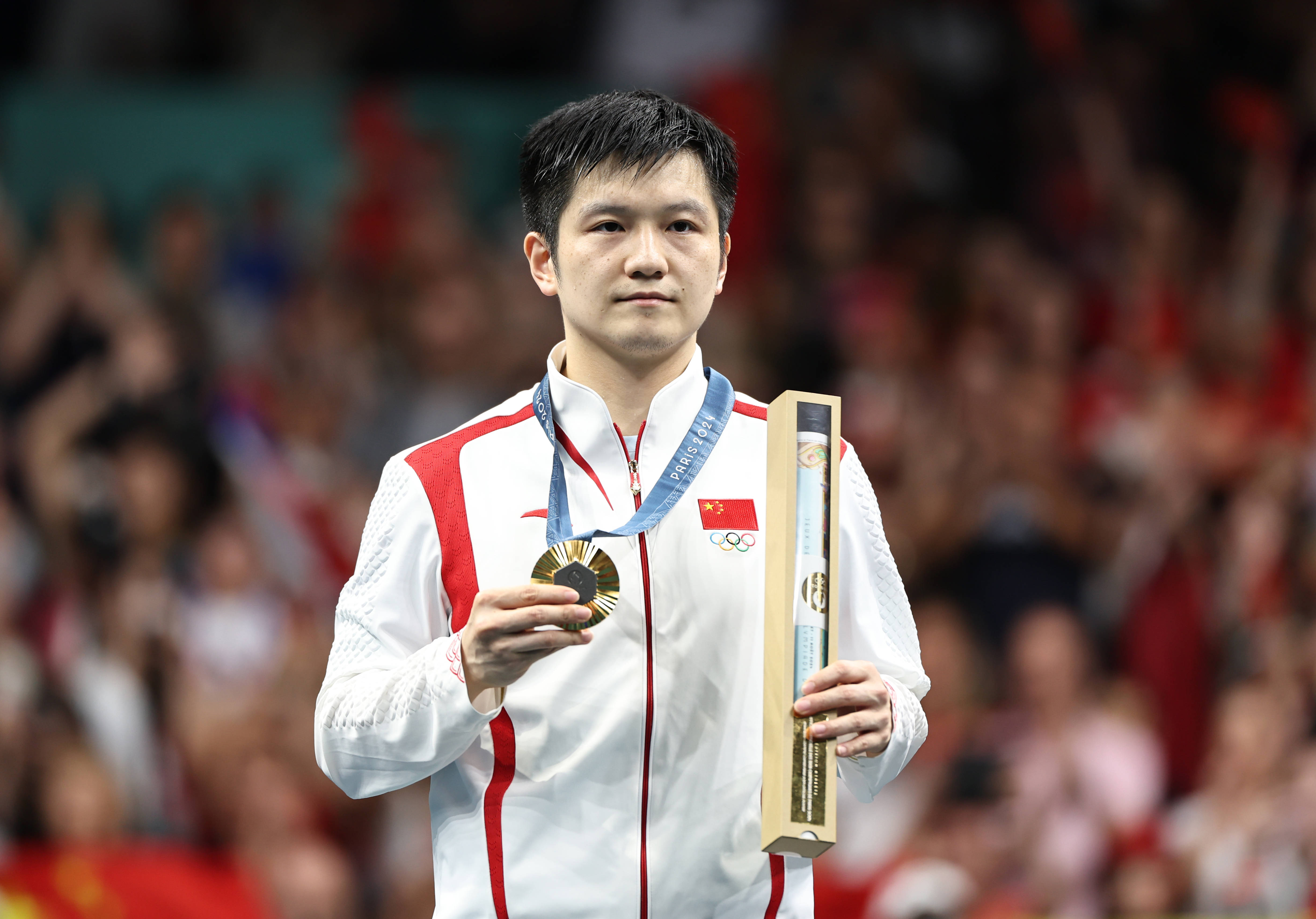 包含比利时乒乓球队强势波兰乒乓球队，樊振东高光表现的词条