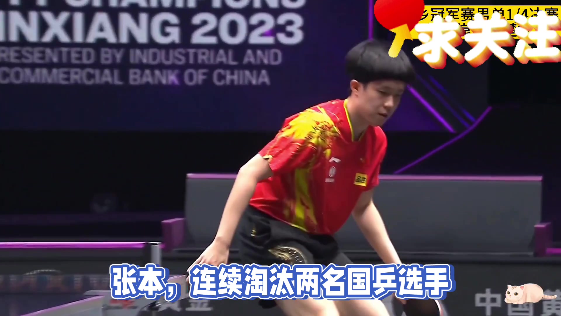 韩国乒乓球队横扫比利时乒乓球队,张本智和送出助攻的简单介绍 韩国乒乓球队横扫比利时乒乓球队,张本智和送出助攻的简单介绍