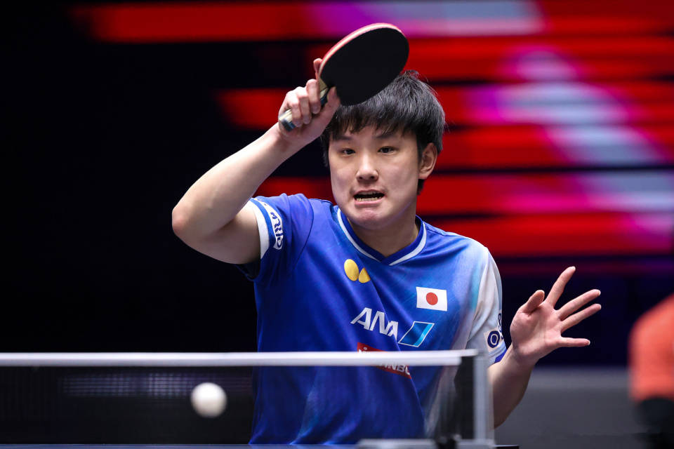 关于法国乒乓球队轻取韩国乒乓球队，张本智和爆发神勇的信息