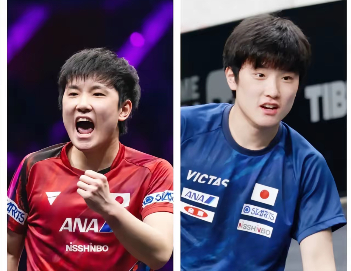 关于法国乒乓球队轻取韩国乒乓球队，张本智和爆发神勇的信息