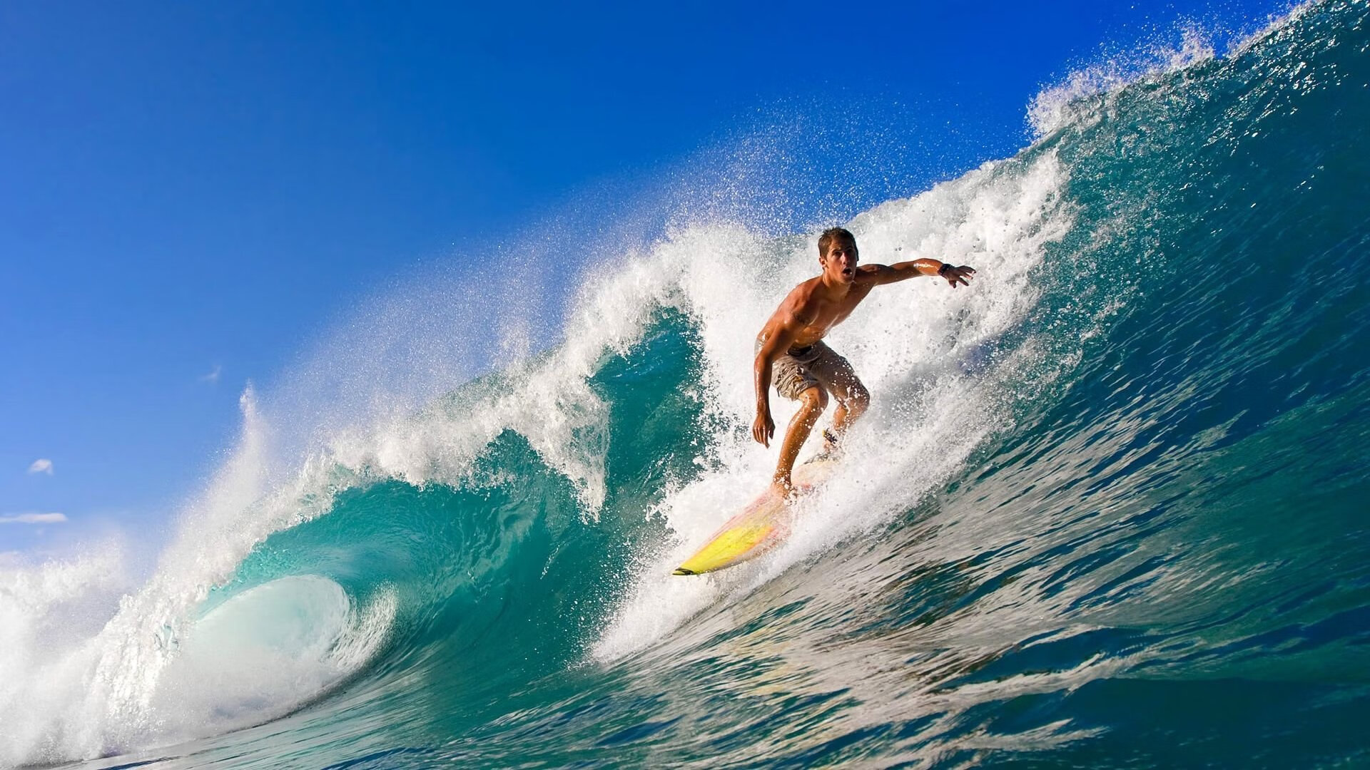 篮网对阵深圳队，霍勒迪比赛走势一手掌控